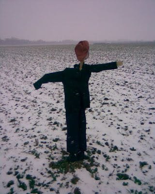 Some Thoughts About Jims, Scarecrows And Books