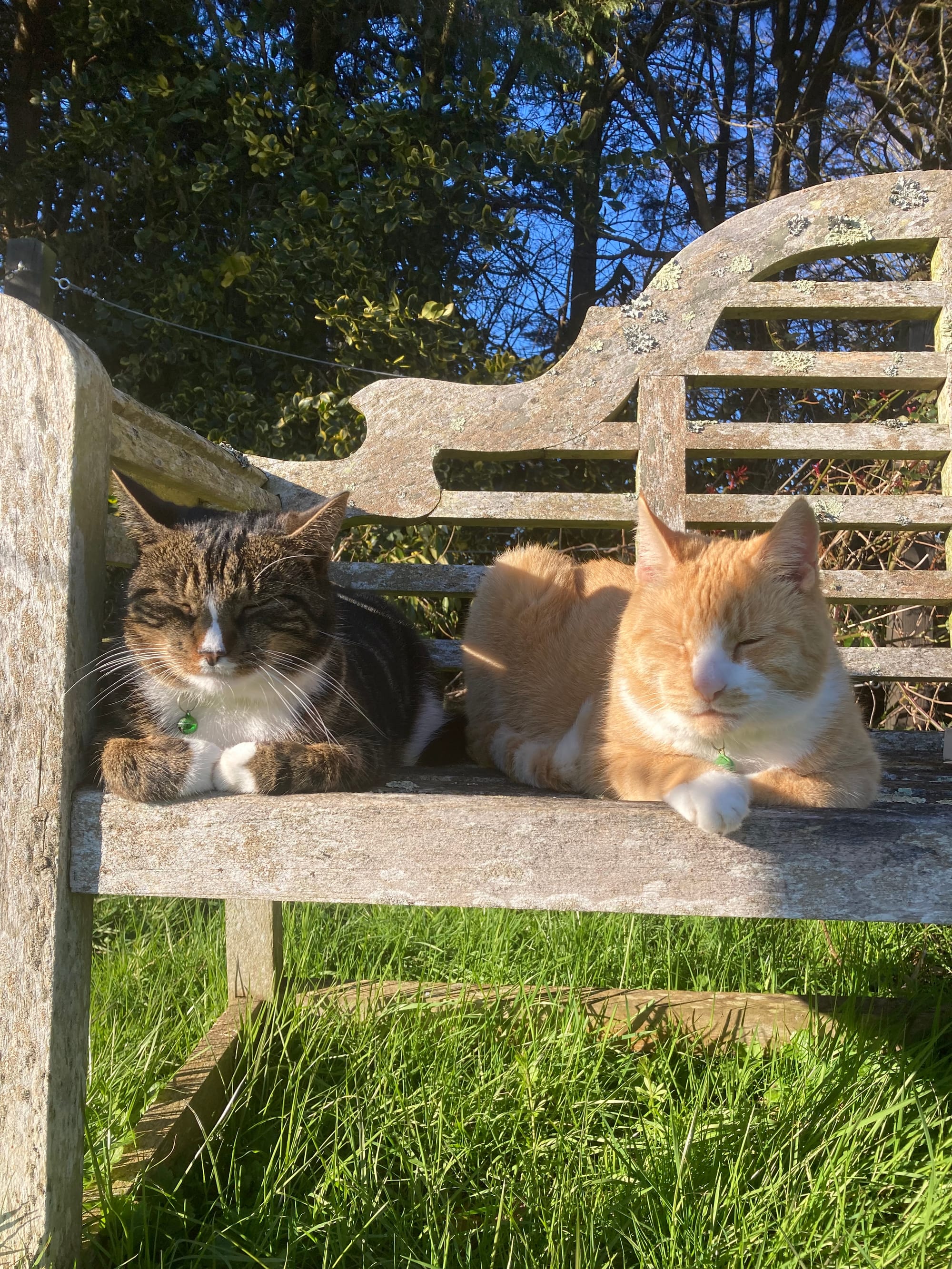 Jim: An Insight Into One Of Our Finest Minds