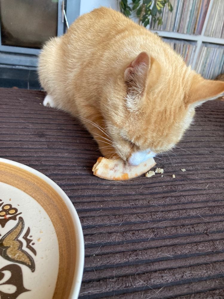 Jim, tucked up in bed, just after I had finished reading him Gravity's Rainbow by Thomas Pynchon (I slept on the kitchen floor)