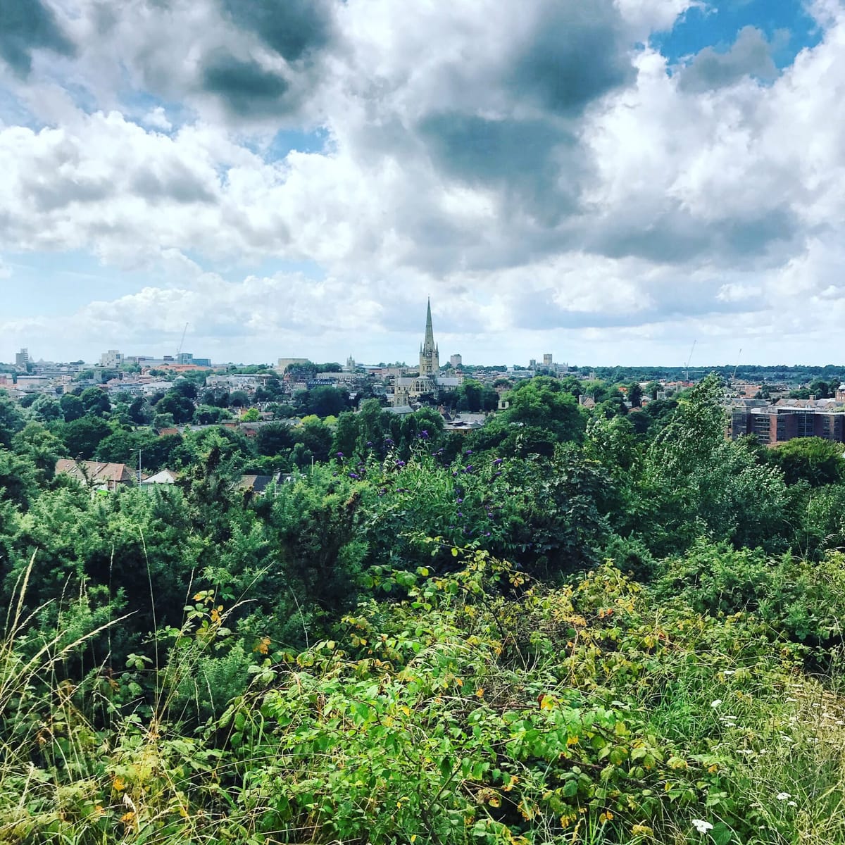 Notes From A New (Old) City