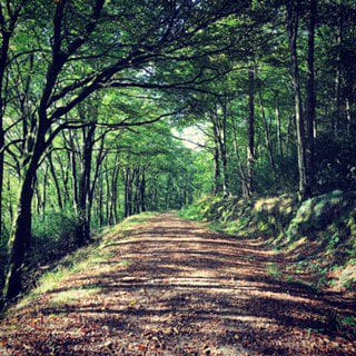 September Walks