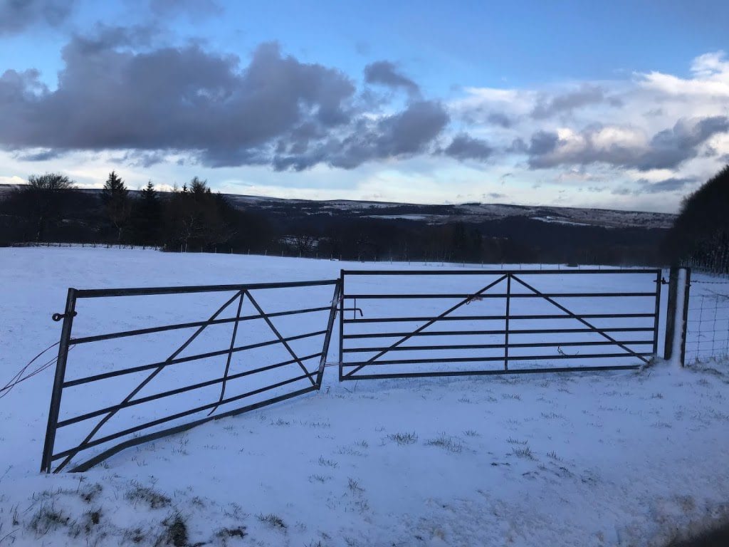 Winter F***erland