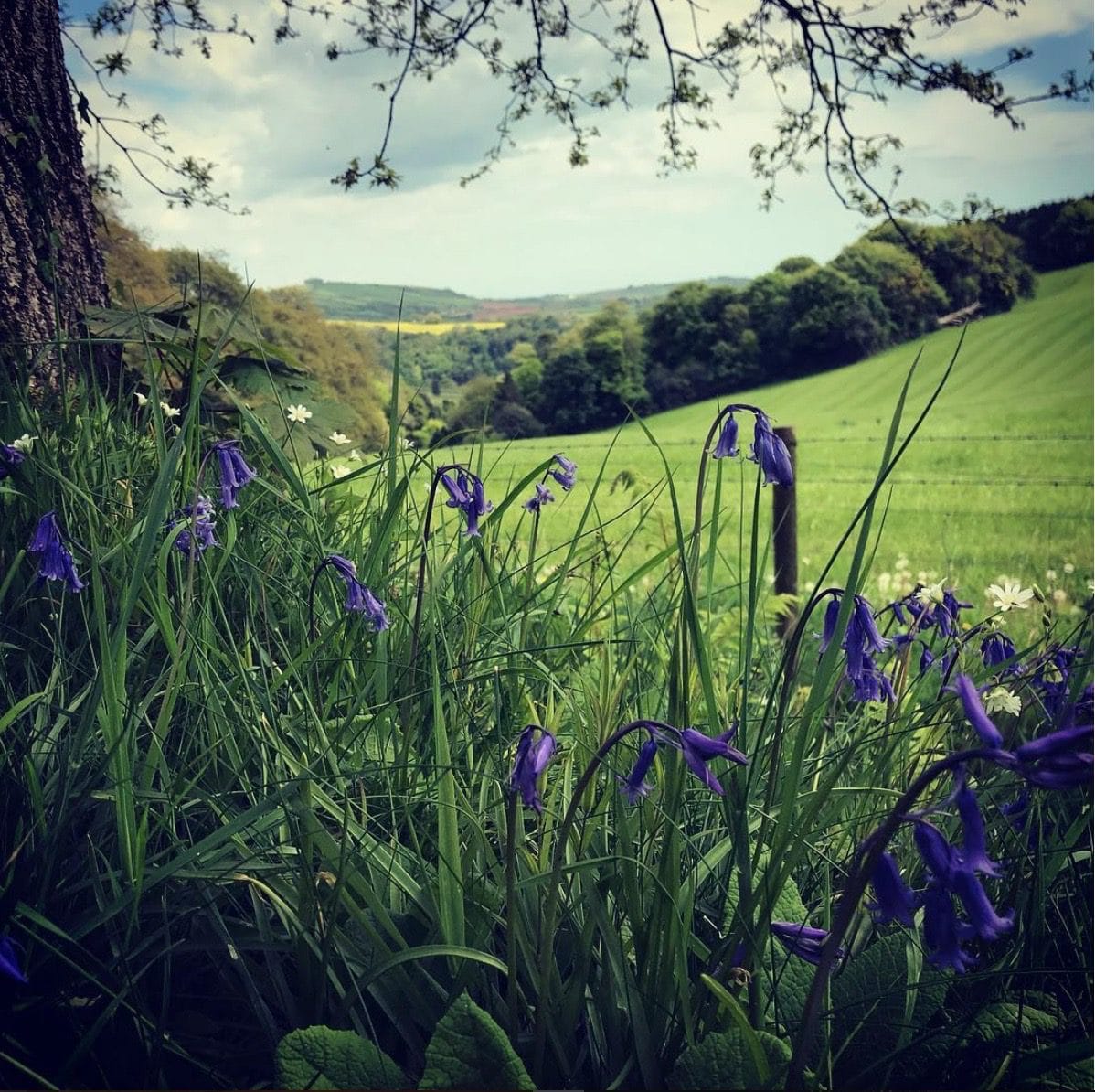 Spring 2019: A Personal Compendium