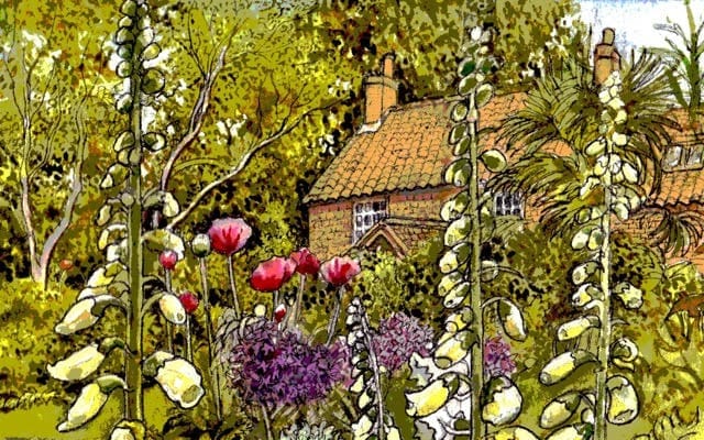 THE MAGIC ROOM