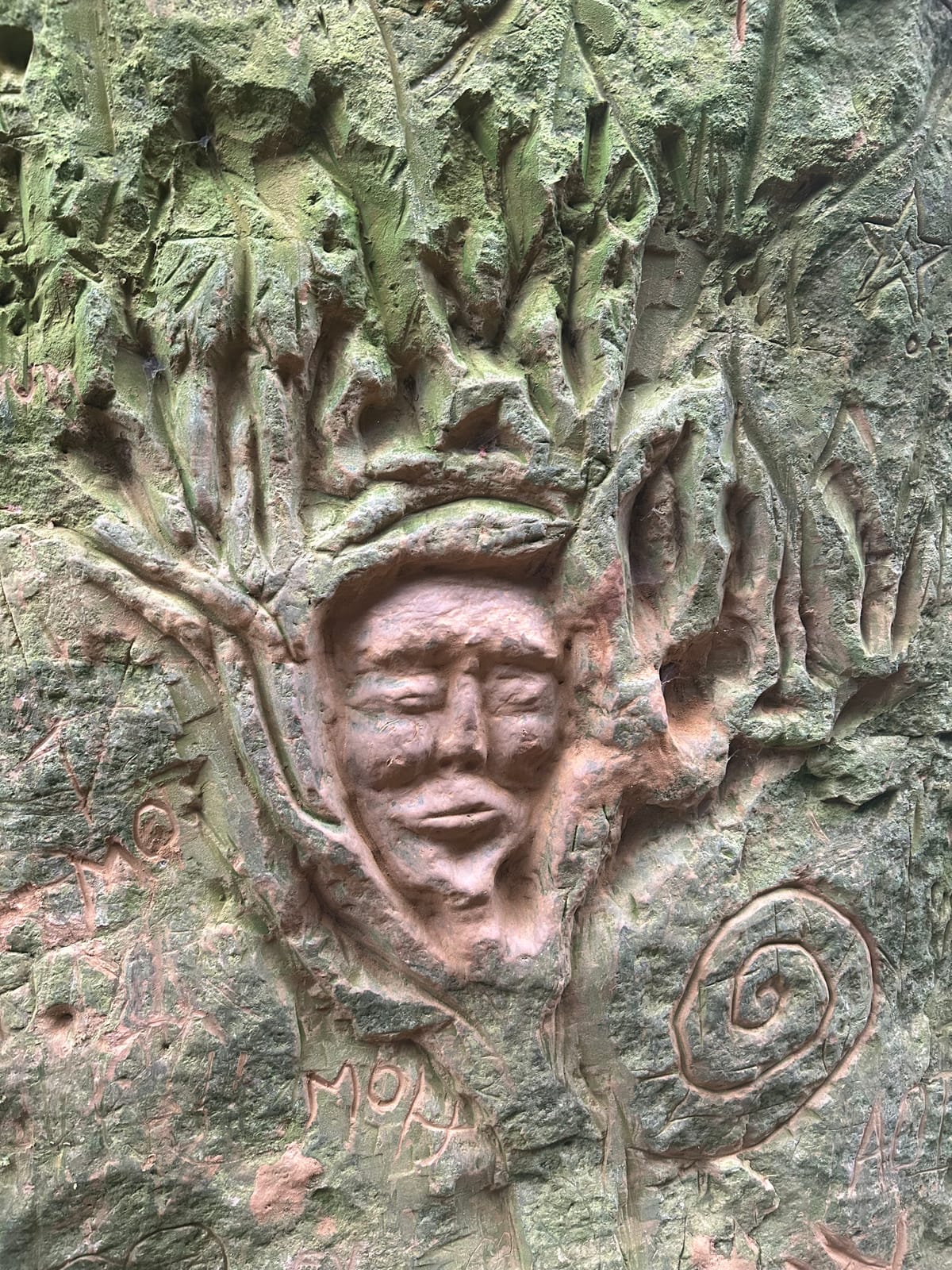 Nothing Cold Can Stay: A November Compendium