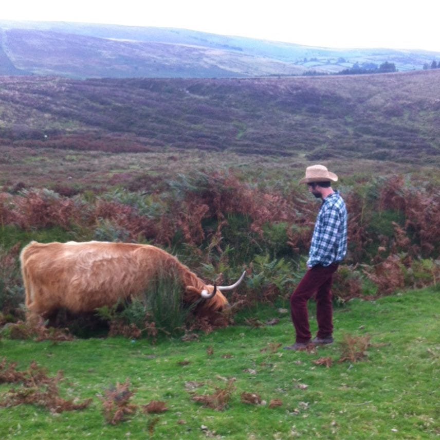 A Collection Of Photographs Of Some Excellent Cattle I Have Met On Walks And Some Important Biographical Information About Them