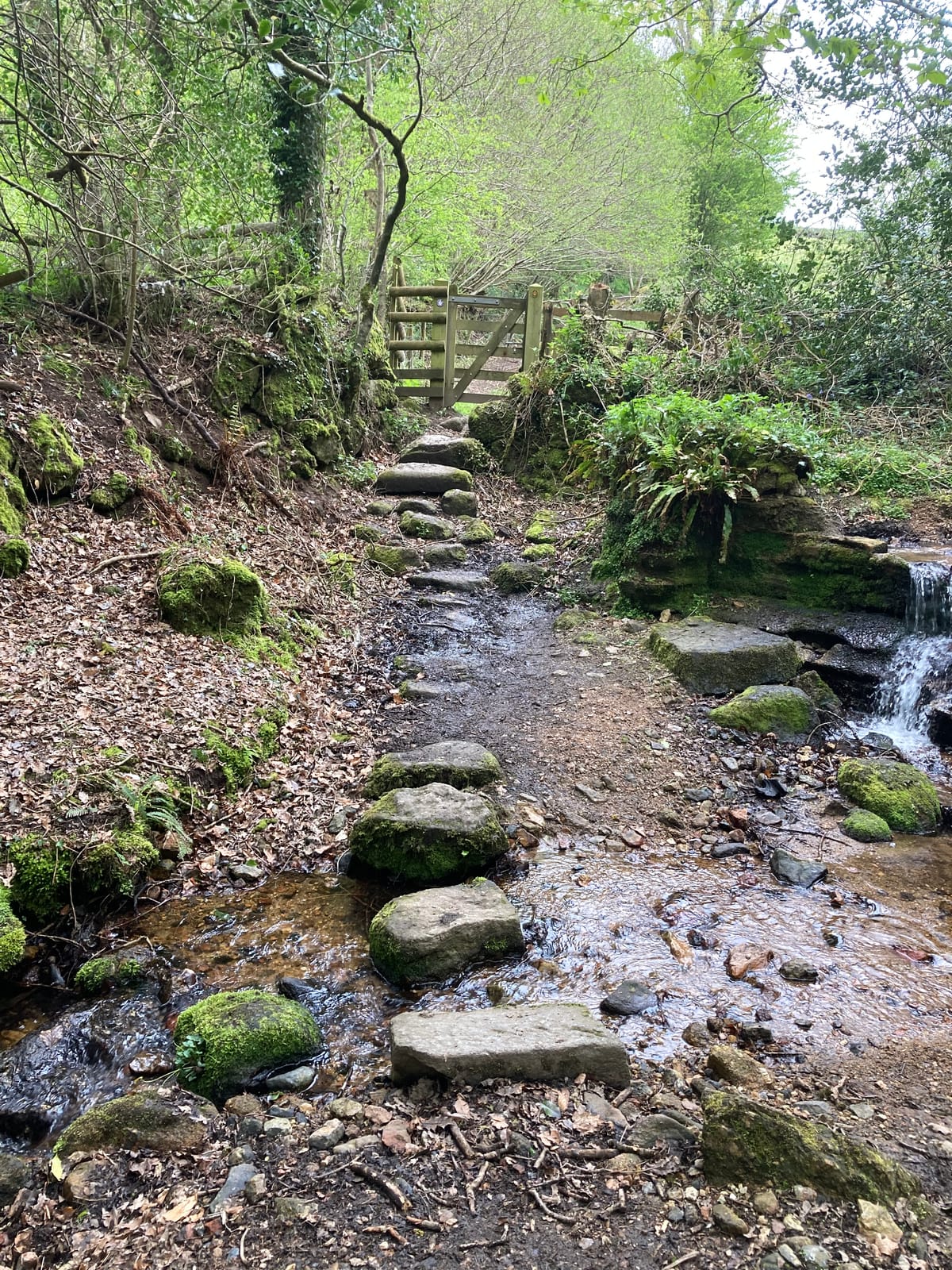 100 WALKS YOU NEED TO DO BEFORE YOU DIE. 1: Springtime Creekside Hike To Longdogs Lane Via A Private Dentist (4 miles)