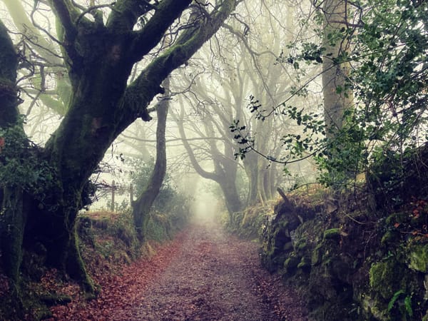 Moorland Community Radio Episode Two