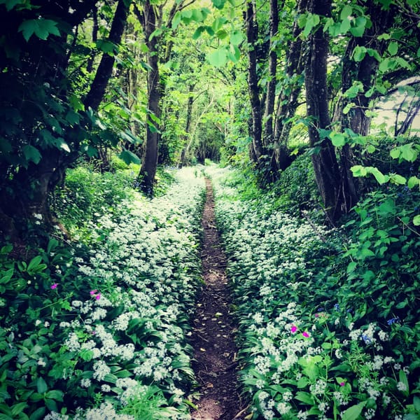 Spring, 2020: A Personal Compendium
