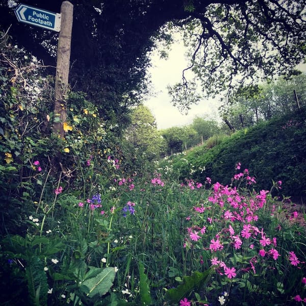 SOME RECOMMENDED WALKS