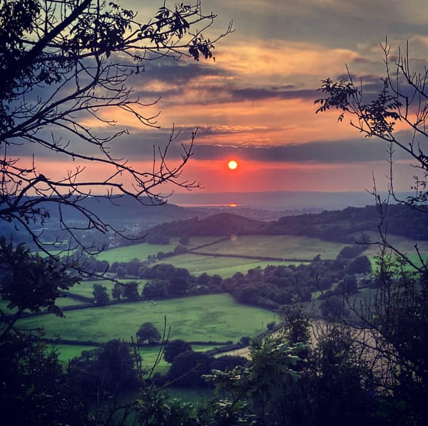 Late Summer, 2021: A Personal Compendium