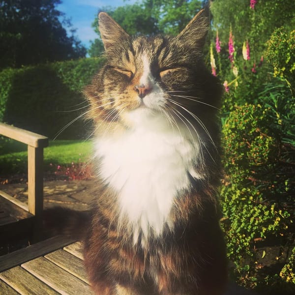RALPH (2001-2021)