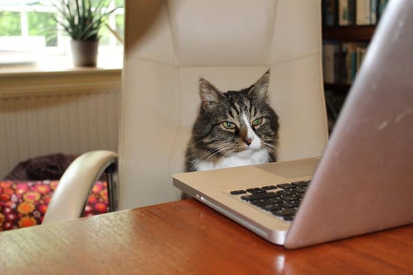 14 Thoughts About Writing