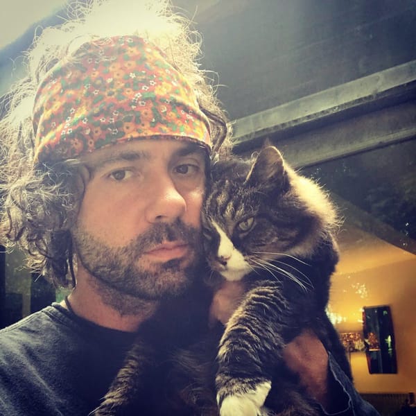Cat Update