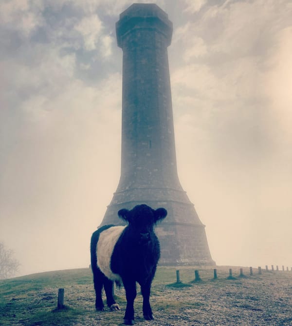 Ramblecast: Maiden Castle
