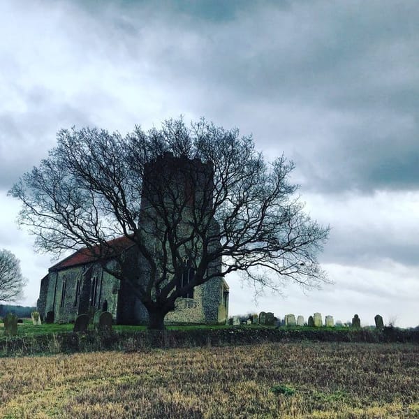Late Winter, 2020: A Personal Compendium