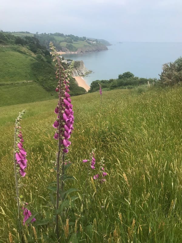 A Love Letter To A Beach