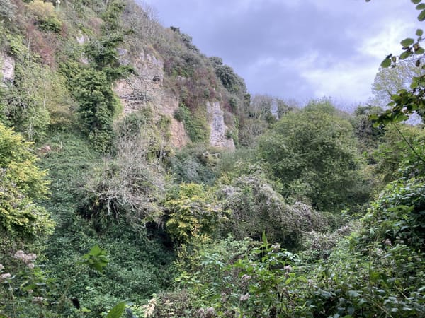 Undercliff