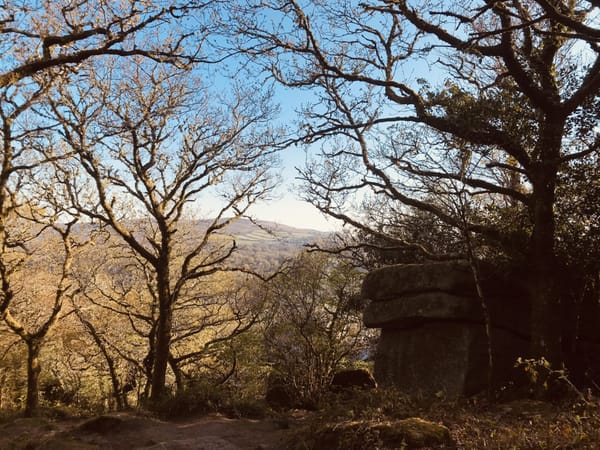 The Man On The Rocks (new fiction)
