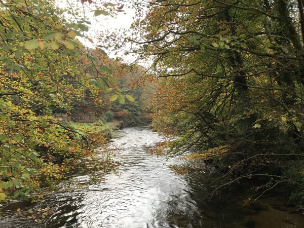 Ramblecast: a three rivers walk