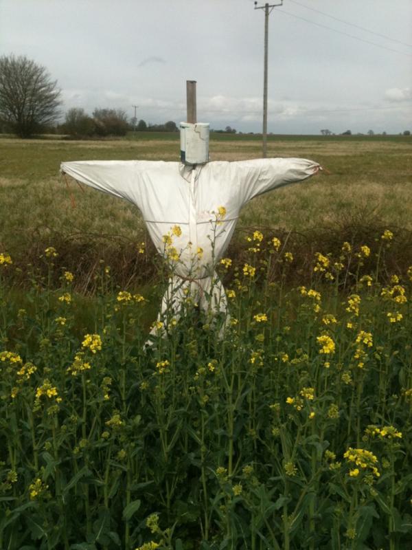 Photos Of Some Unreconstructed Rural Men I Have Known And A Few Recollections Of My Time With Them
