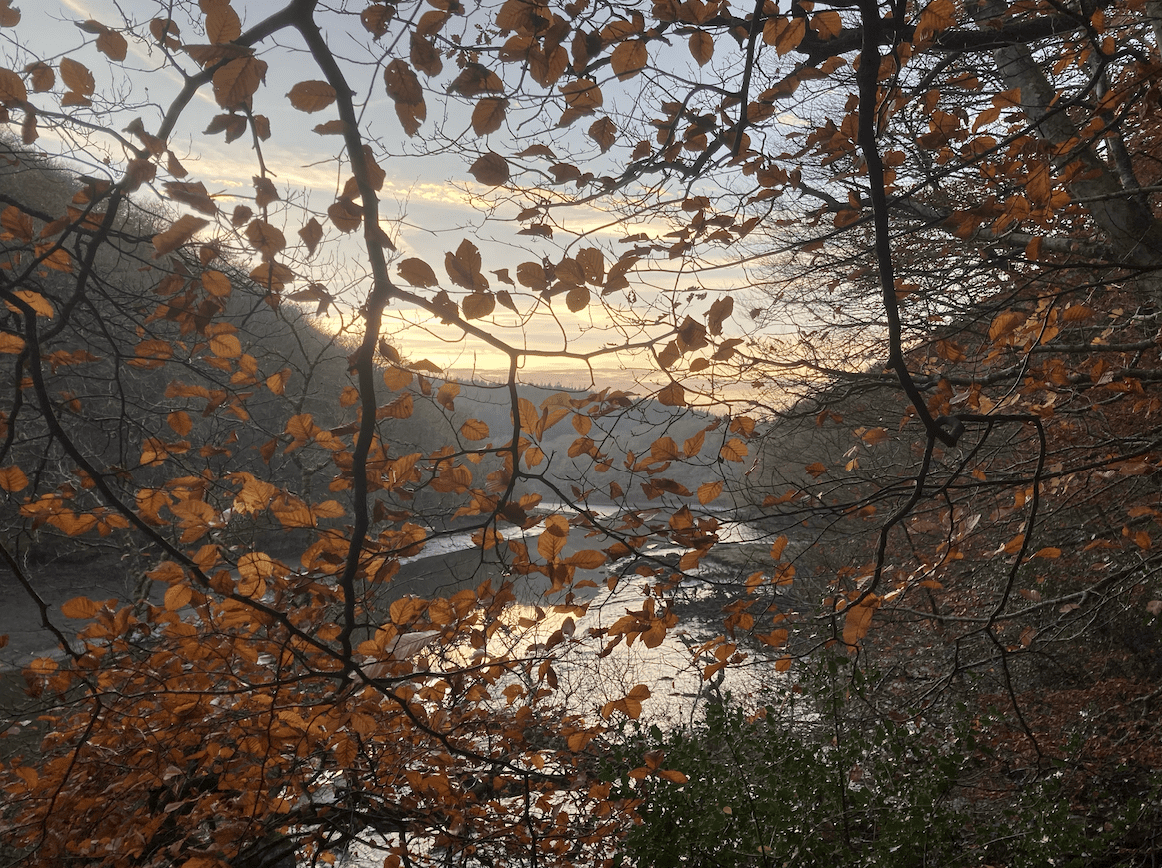 Darkening Days In Summerland: A Personal Compendium