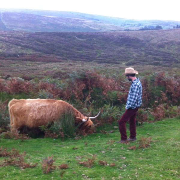 A Collection Of Photographs Of Some Excellent Cattle I Have Met On Walks And Some Important Biographical Information About Them
