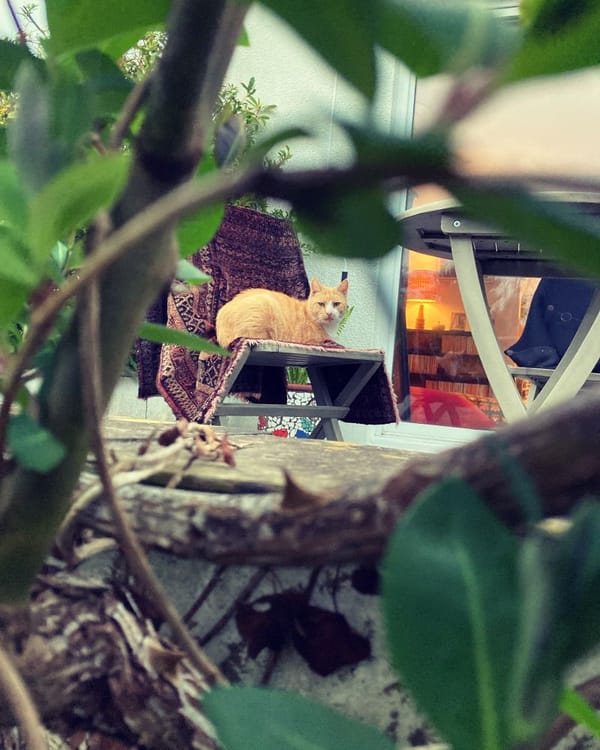 The 20 Best Interdimensional Portals I Have Photographed On Walks In The British Countryside