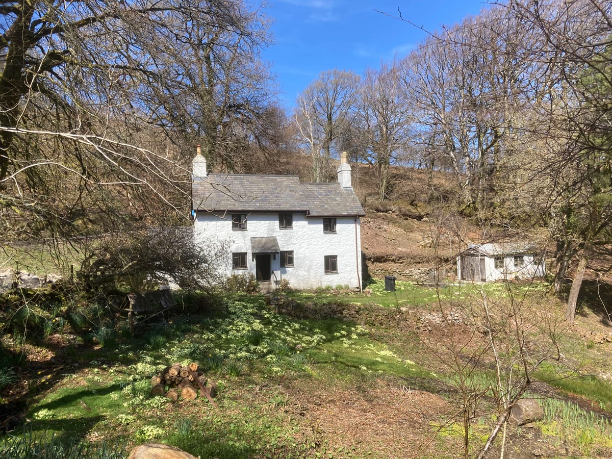 Some Thoughts About Jims, Scarecrows And Books
